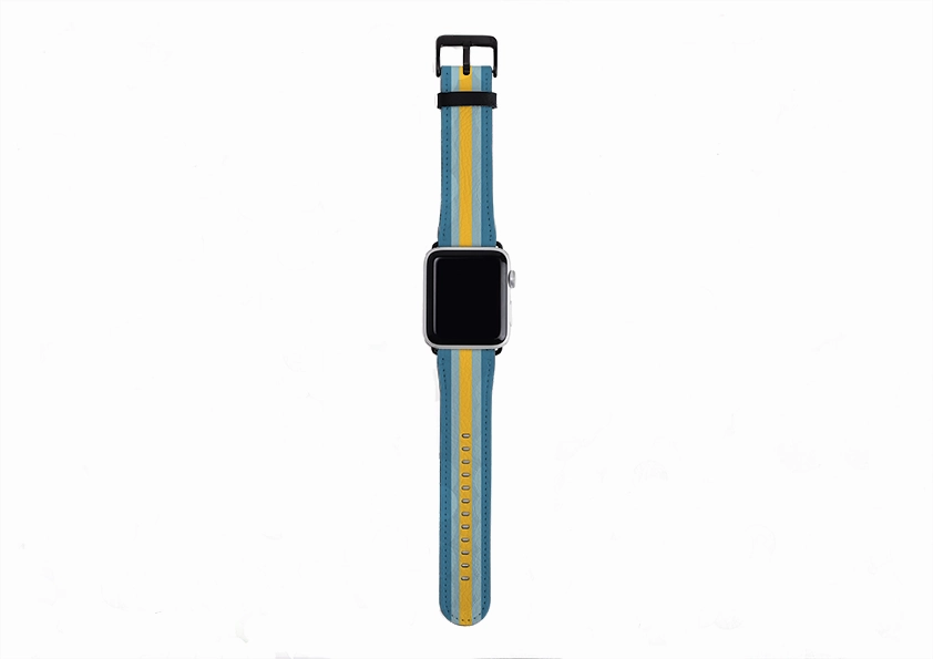 Classic Design All Day Durability Apple Watch Strap- Madrid Chroma Stripe