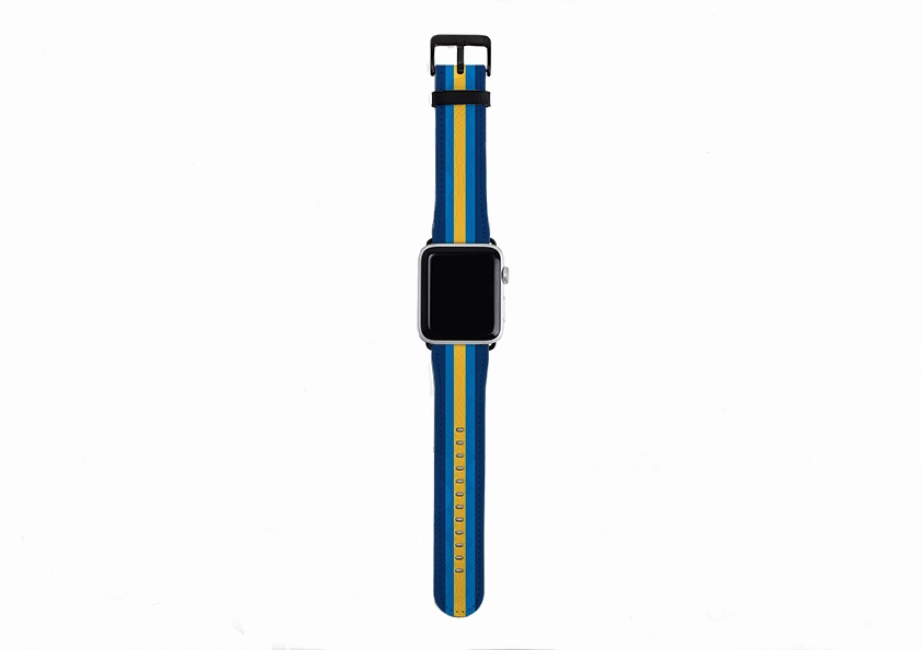 Apple Watch Strap- New York Chroma Stripe Secure Design Minimalist Everyday Fit
