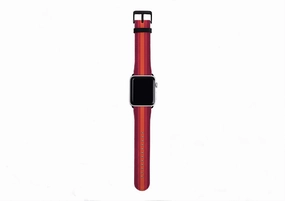 Sweat Proof Design Elegant Modern Appeal Apple Watch Strap- Tokyo Chroma Stripe