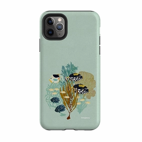 Color Accent iPhone Tough Case - Fish Town By Katherine Quinn