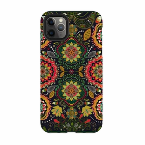 iPhone Tough Case - Levens Hall Colorful option