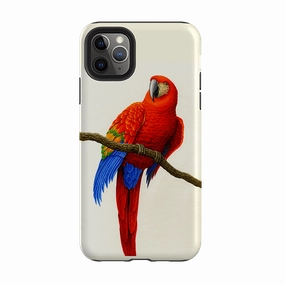 iPhone Tough Case - Scarlet Macaw By Philip Hood Fashionable Texture Protective Form Fit