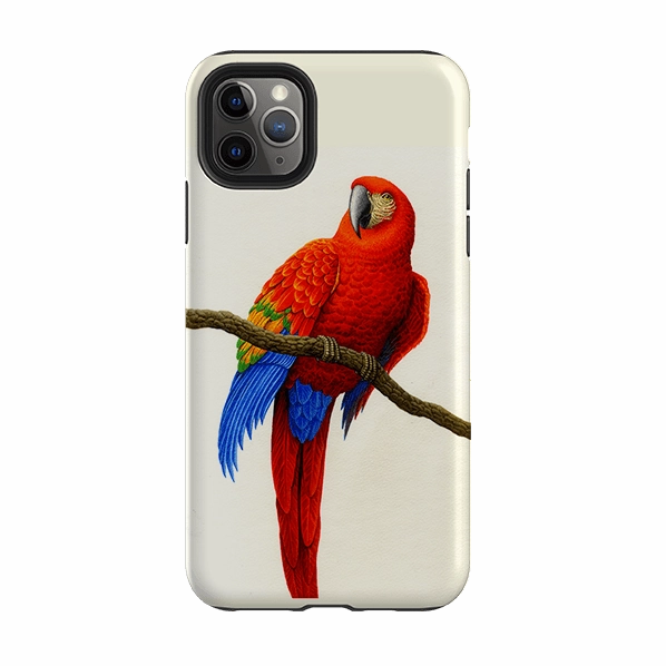 iPhone Tough Case - Scarlet Macaw By Philip Hood Fashionable Texture Protective Form Fit
