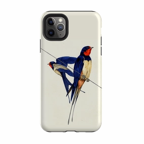 Sleek Finish Stylish Finish Texture iPhone Tough Case - Swallows By Philip Hood