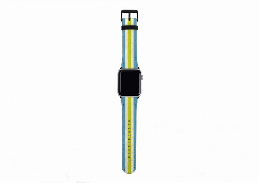 Travel Essential Apple Watch Strap- Jaipur Chroma Stripe