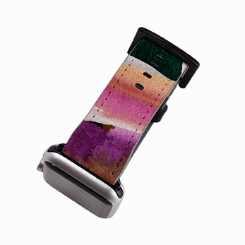 Trendy Sport Look Sleek Functional Style Sunset Painting By Kitty Joseph Apple Watch Strap